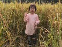 -光明小镇欢乐田园
