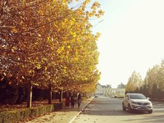 -北京拉斐特城堡酒店