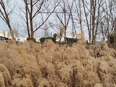 -中国天府农业博览园