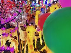-百荣世贸商城