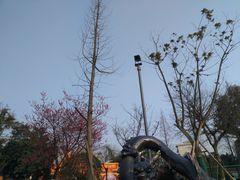 -成飞公园