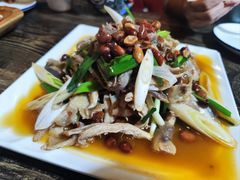-宝山一号馕坑肉