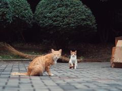 -南京市江宁方山