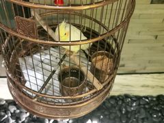 -小厨娘淮扬菜(六合欢乐港店)