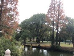 -苏州上方山国家森林公园