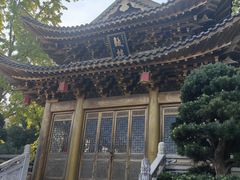 -上海东林寺(金山区)