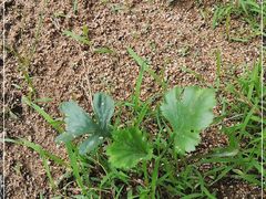-天津盘山风景名胜区