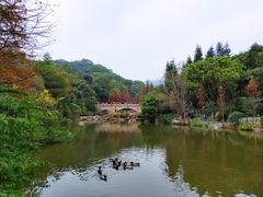 -云溪植物园