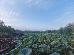 -云龙湖旅游景区