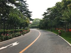 -钓鱼台国宾馆