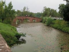 -白鹭湾湿地公园