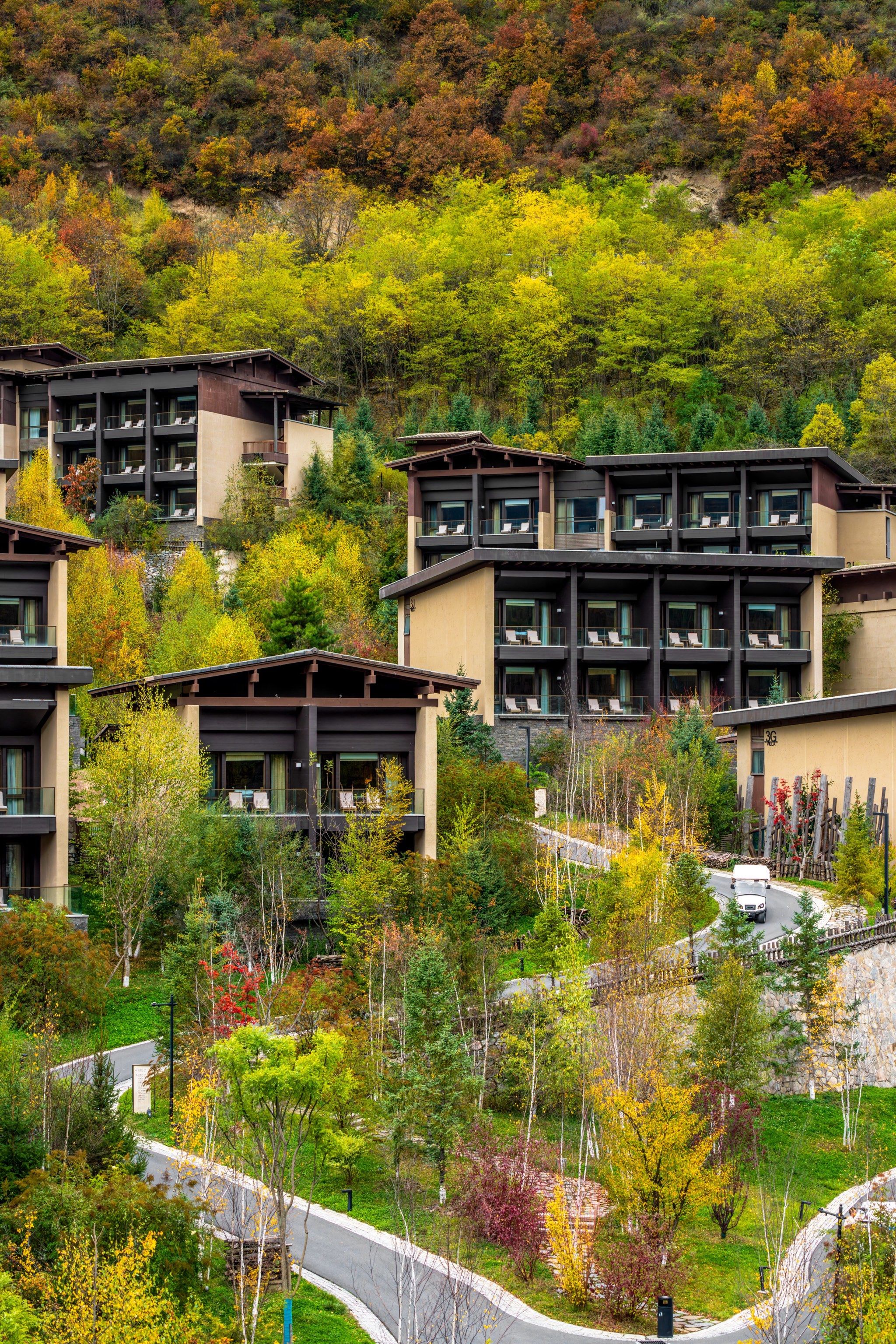 九寨沟|藏寨风情的康莱德,秋天的彩林美哭了