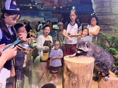 -正佳雨林生态植物园