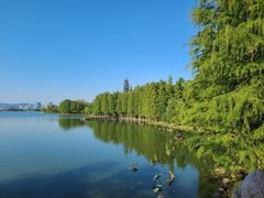 -长广溪湿地公园