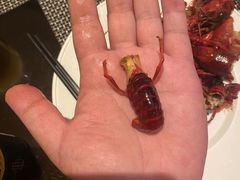 -上海锦江汤臣洲际大酒店壹阶层