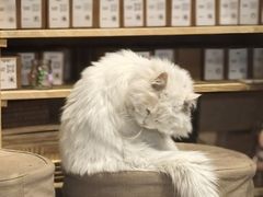 -创艺无限·赵春香微妙艺术馆