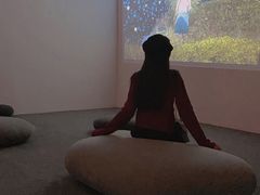 -金茂览秀城