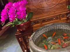 -小吊梨汤·北京菜·烤鸭(望京四元桥购物中心店)