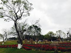 -松山湖梦幻百花洲