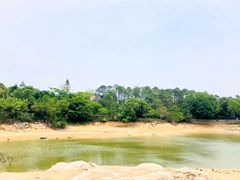 -广东惠东海龟国家级自然保护区