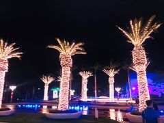 -三亚海昌梦幻海洋不夜城