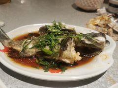 清蒸老虎斑-达叔香味海鲜(海棠68环球美食街店)