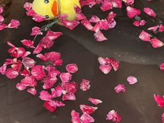 -北京益泉花园酒店