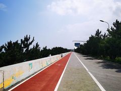 -日照海滨国家森林公园