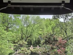 -上海醉白池公园