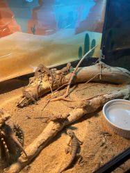 -酷嗒动物文化乐园(cutezoo西溪乐天城店)