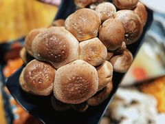 -扬之阿李菌汤火锅(1969店)