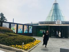 -济州岛泰迪熊博物馆