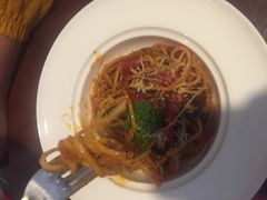 意大利肉酱面-百好乐宠物友好餐厅(朝外大街店)