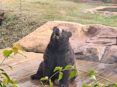 -海南热带野生动植物园