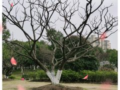 -莘庄梅园