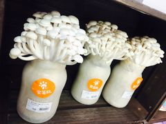 -盒马鲜生(大成店)