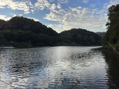 -天鹿湖森林公园