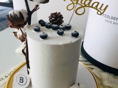 -Biteology Artisan Cakes(红庄·国际文化保税创新园店)