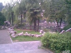 -郑和公园