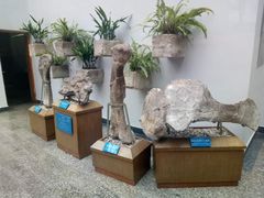 -自贡恐龙博物馆