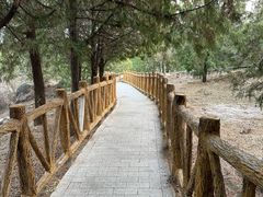 -白水寺森林公园
