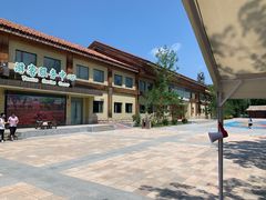 -南宫五洲植物乐园