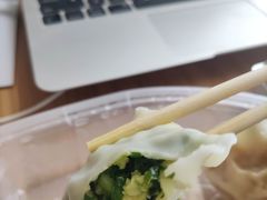 韭菜鸡蛋煮饺-老边饺子馆(东单店)