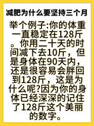 -Fundi张玉珊修身堂·indiba·BTL科技瘦身