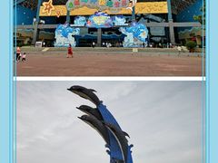 -泉城欧乐堡海洋极地世界