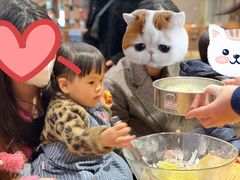 -硅谷蒙学幼儿园