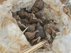 -新塘畔酒楼(里水大道北店)