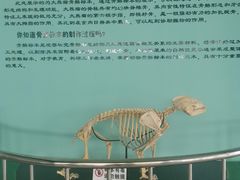 -沈阳森林动物园