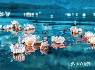 会把小白花送到离它根叶很远很远的地方