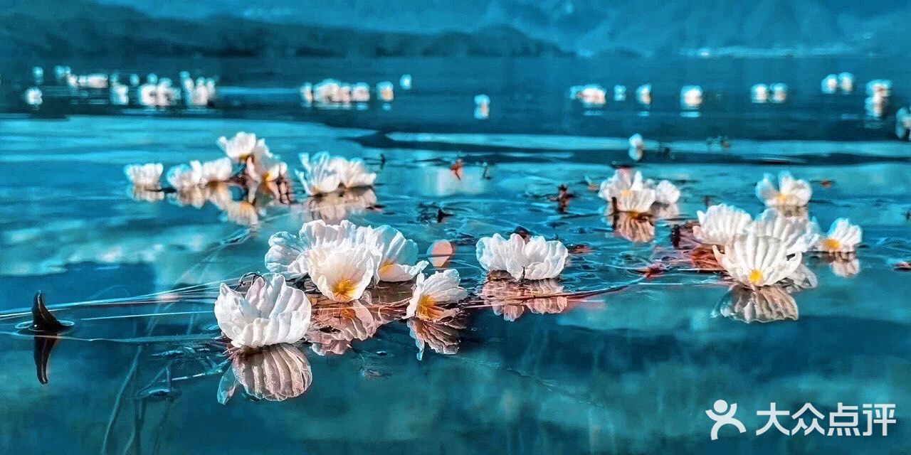 会把小白花送到离它根叶很远很远的地方